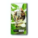 Taschent&uuml;cher Cat, 4-lagig, Tissue, 22x21cm, 10...