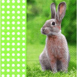 P+ D Serviette, Free rabbit, 3 lagig, 33x33cm, 1/4 Falz