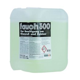 Sanit Fauch 300 Kanister 5 Kg flüssig