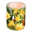 Dekorkerze Daffodil Blossoms, rund 10,5x12cm, in Folie...