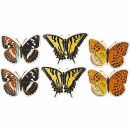 Schmetterlinge sortiert 6 Stück