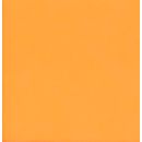 Allzwecktuch Vlies orange 38x38, 25 Stück