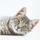P+D Serviette What youre looking at, 3 lagig, 33x33cm,...