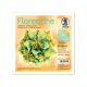 Ursus Faltblätter Florentine PARADISO türkis / gelb 80g 15 x 15cm, 65 Blatt