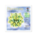 Ursus Faltblätter Florentine FLOWER POWER grün 80g 15 x 15cm, 65 Blatt