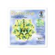 Ursus Faltblätter Florentine FLOWER POWER grün 80g 15 x 15cm, 65 Blatt