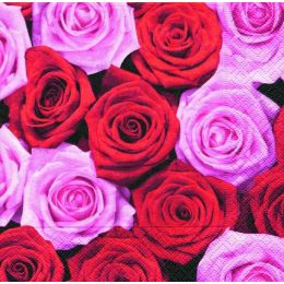 P+ D Serviette, Pink &amp; red roses, 3 lagig, 33x33cm, 1/4 Falz