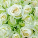 P+ D Serviette, White roses, 3 lagig, 33x33cm, 1/4 Falz