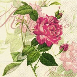 P+ D Serviette, Classic rose, 3 lagig, 33x33cm, 1/4 Falz
