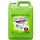 Dan Klorix Grüne Frische desinfizierender Reiniger MHD 07 / 2028, 5 Liter